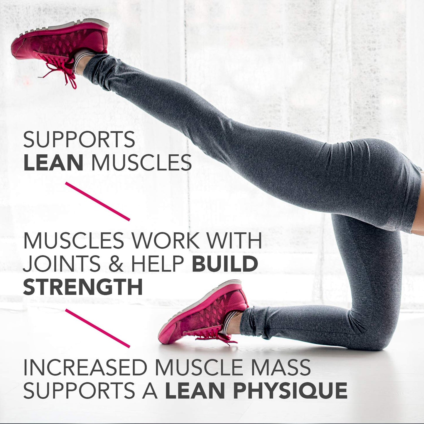 Bars, High Protein, Nutritious Snacks to Support Energy, Low Sugar, Gluten Free, Peanut Butter Lovers Variety Pack, 1.76 Oz, Pack of 18