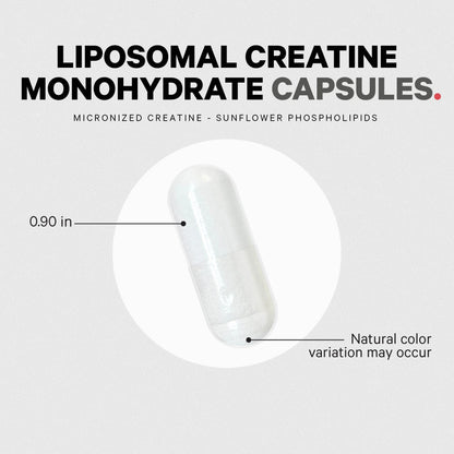 Liposomal Creatine Monohydrate Capsules, Micronized Creatine 2500Mg Sports Nutrition, 360 Ct