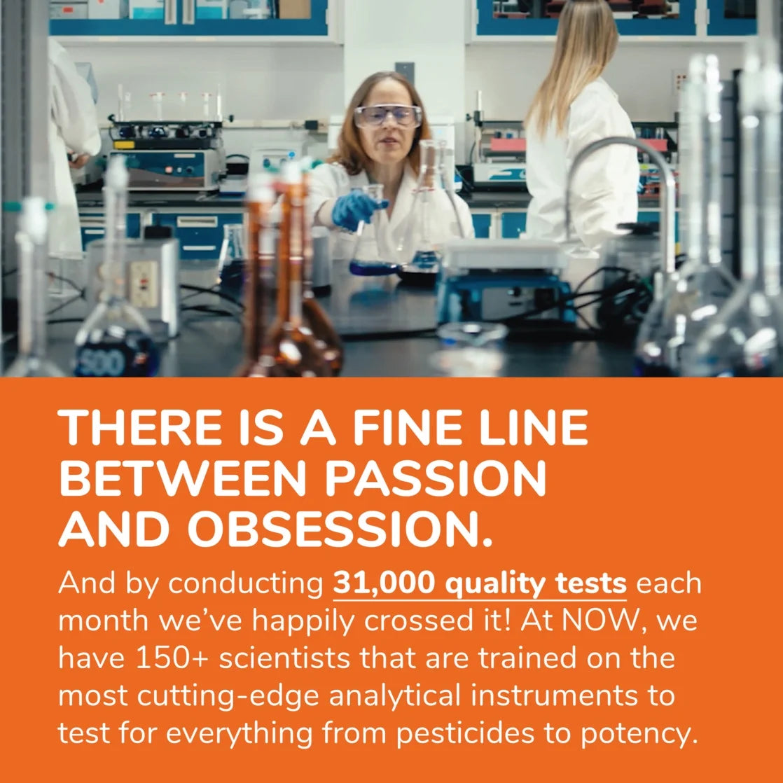 Supplements, Glucosamine & MSM (Greengrown® Glucosamine), Vegetarian, 240 Veg Capsules