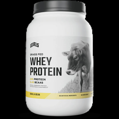 Whey Protein