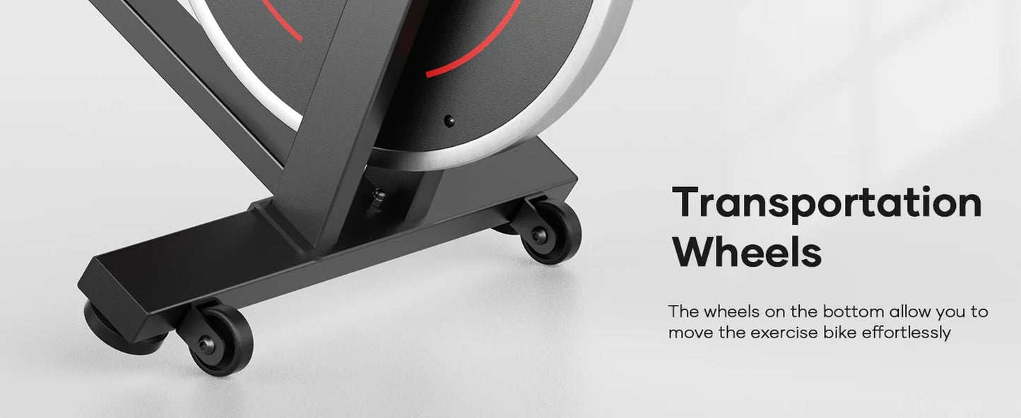 Exercise Bike Indoor Cycling Bike with 300Lbs Big Seat Cushion for Home Cardio Leg Workout