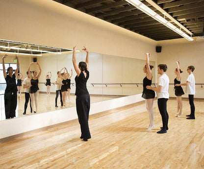 Hans & Alice Gym Mirrors for Home and Commercial Use - 47.2" X 31.5" Single Mirror