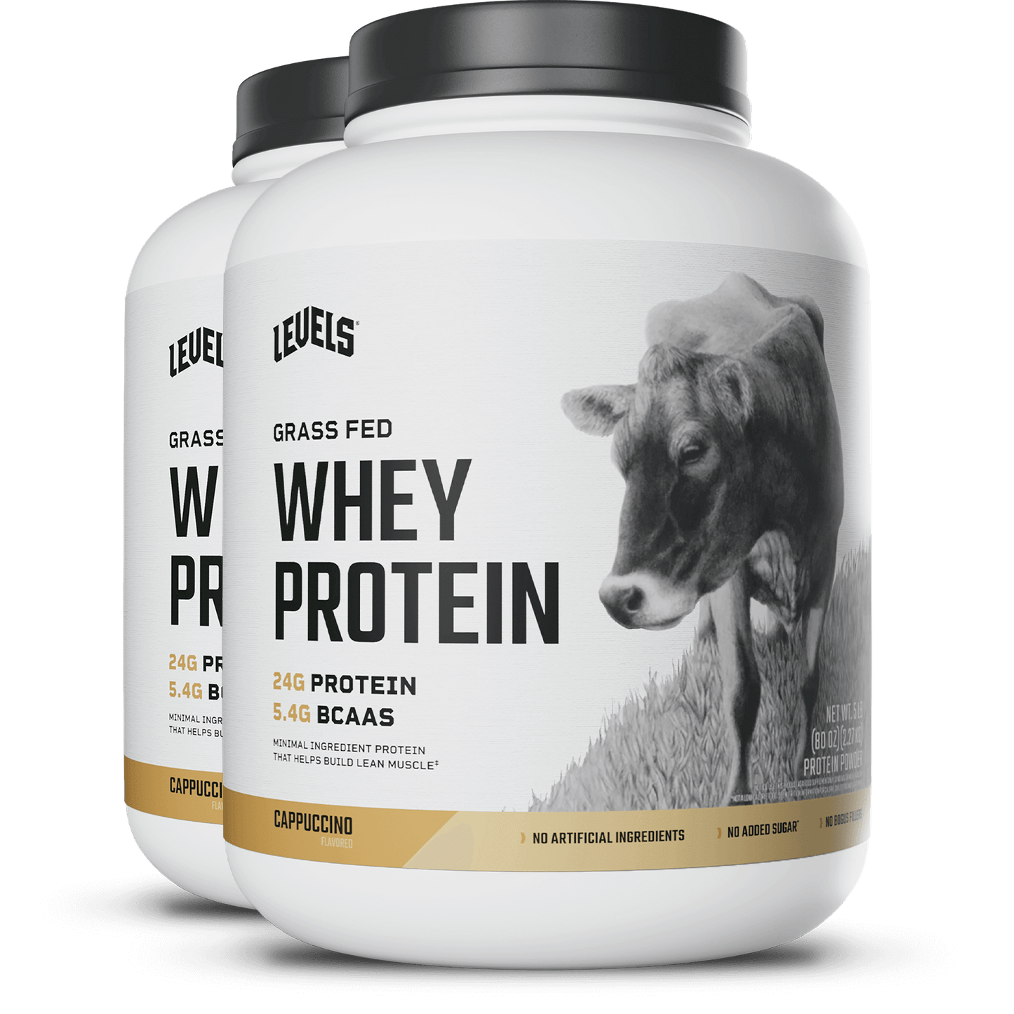 Whey Protein