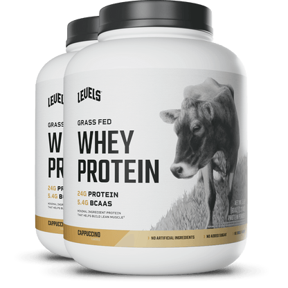 Whey Protein