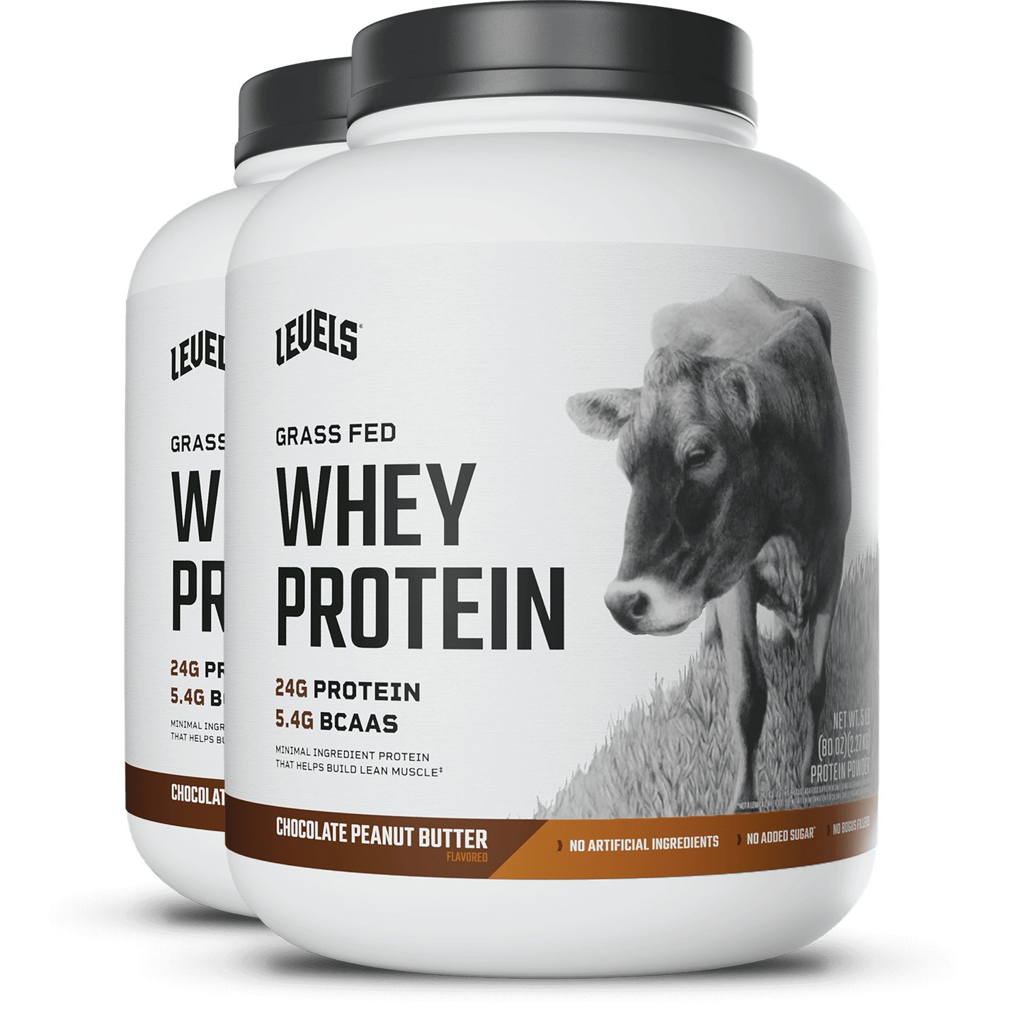 Whey Protein