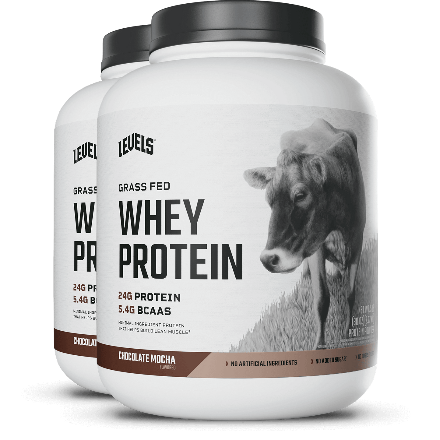 Whey Protein
