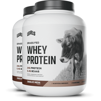 Whey Protein