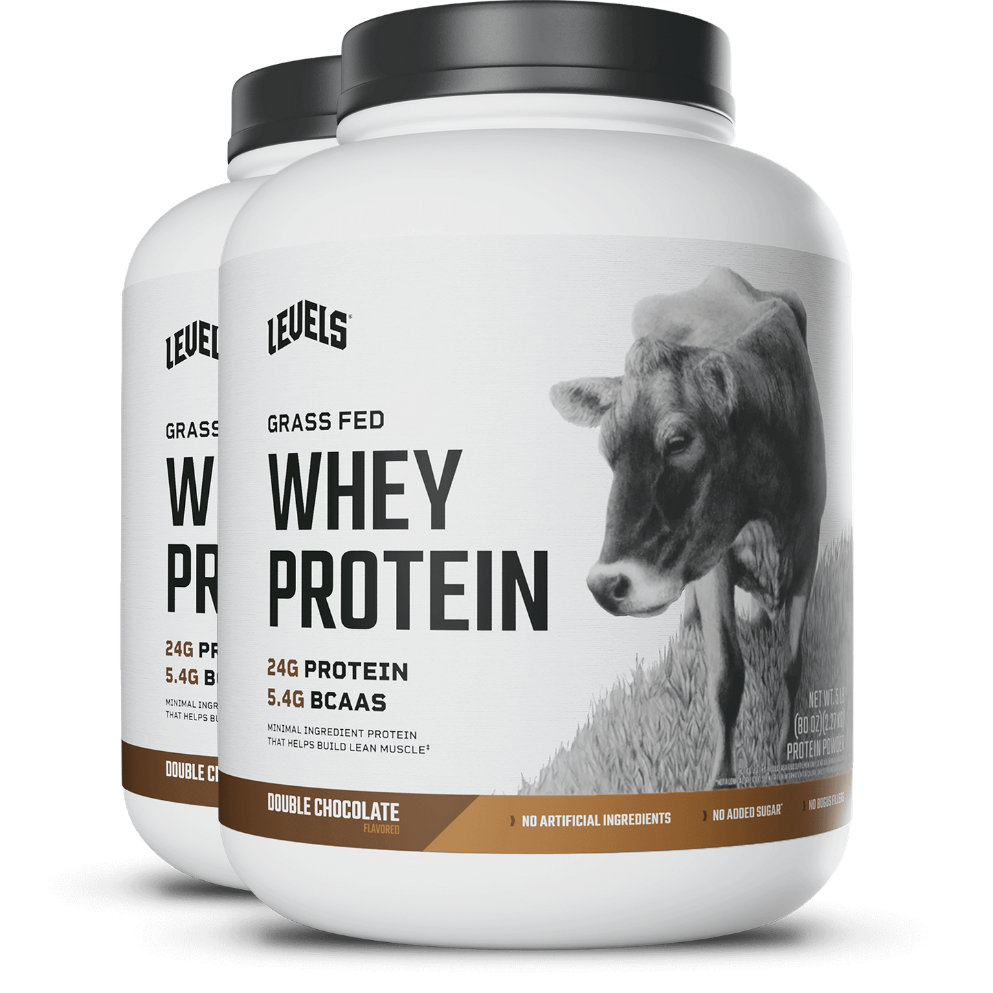 Whey Protein