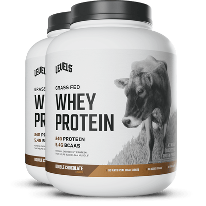 Whey Protein