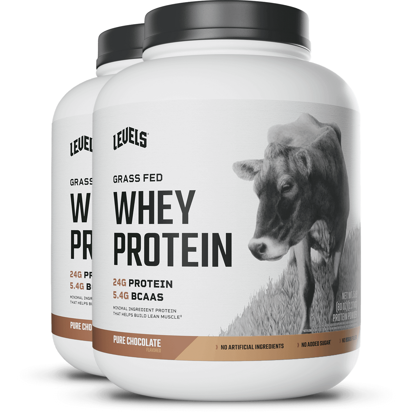 Whey Protein