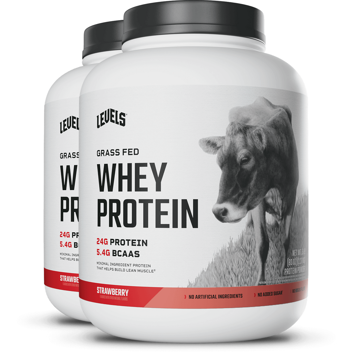 Whey Protein
