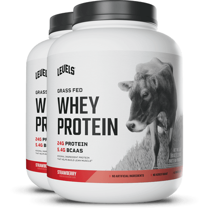 Whey Protein