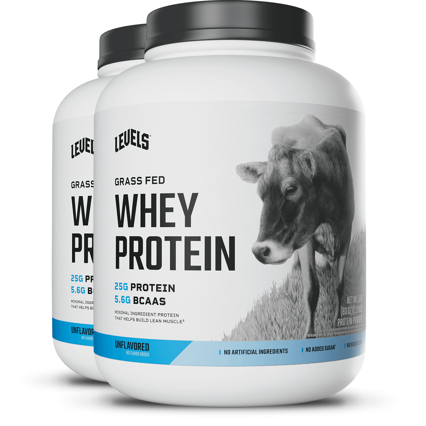 Whey Protein