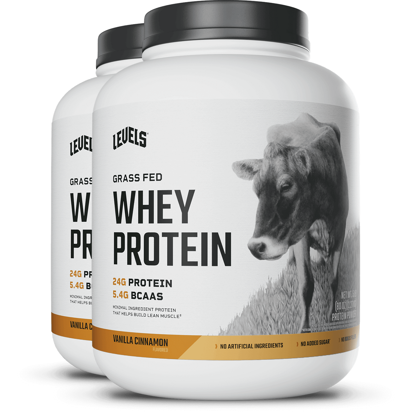 Whey Protein