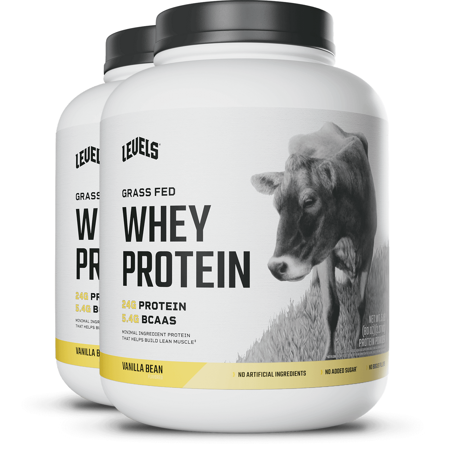 Whey Protein