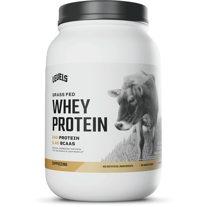 Whey Protein