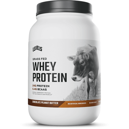 Whey Protein
