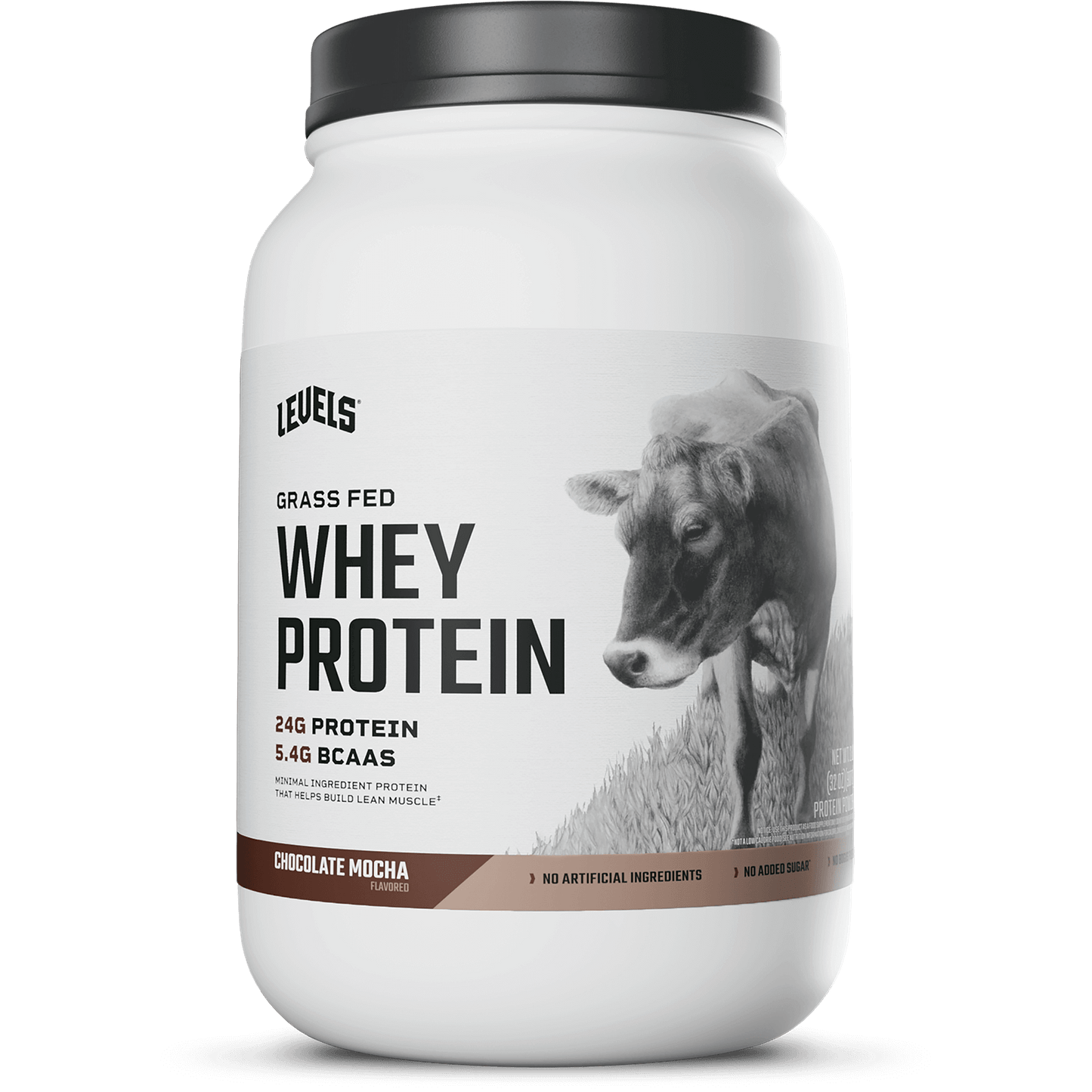 Whey Protein