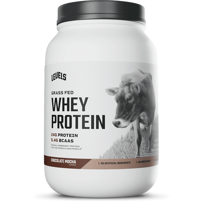 Whey Protein