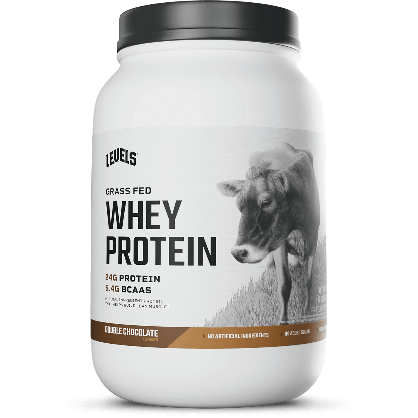 Whey Protein