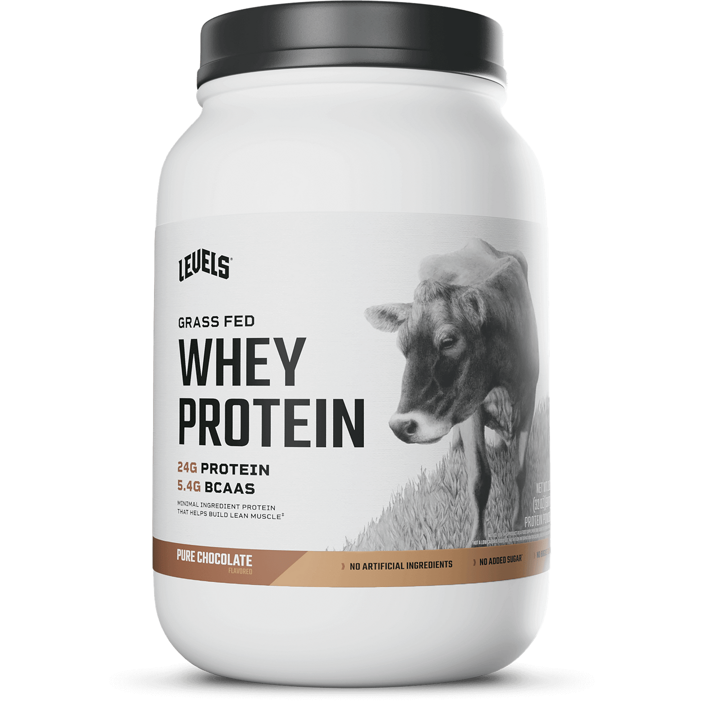 Whey Protein