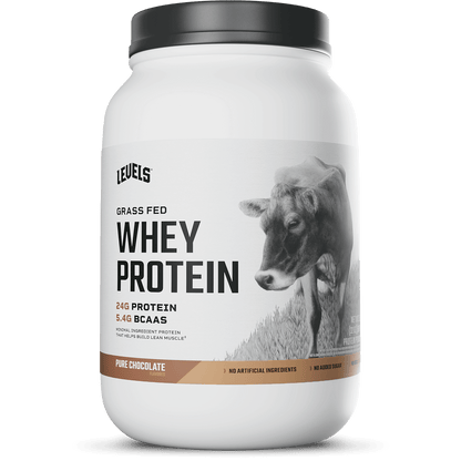 Whey Protein