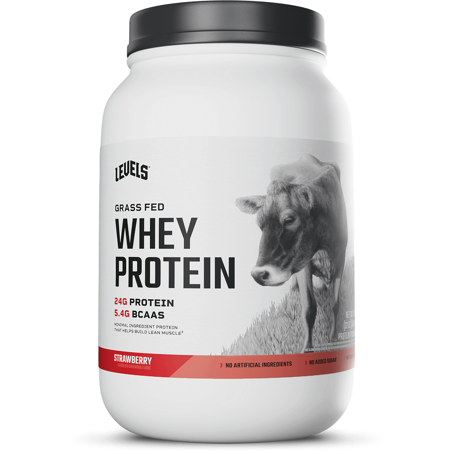 Whey Protein