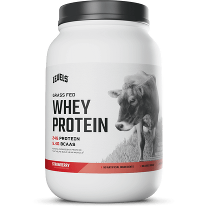 Whey Protein