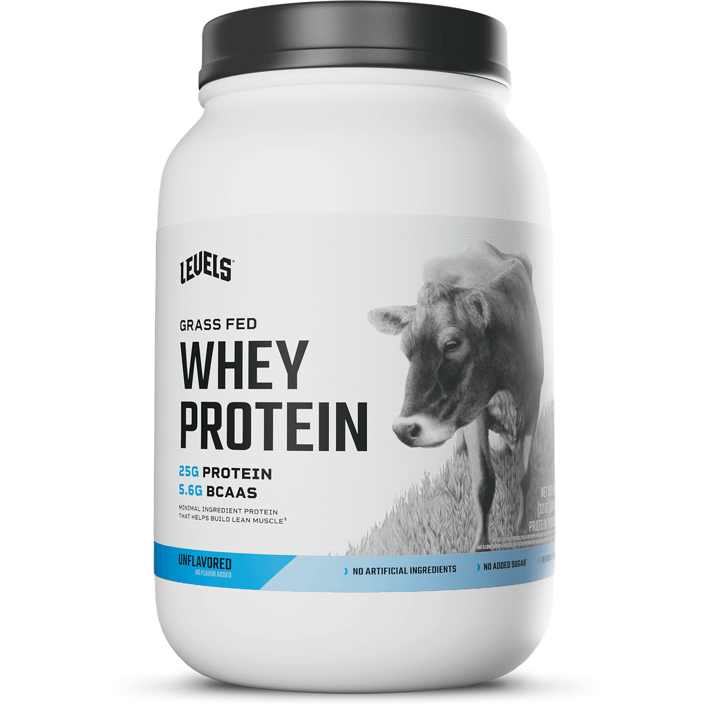 Whey Protein