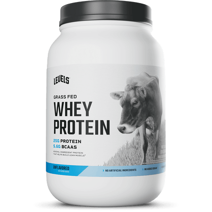 Whey Protein