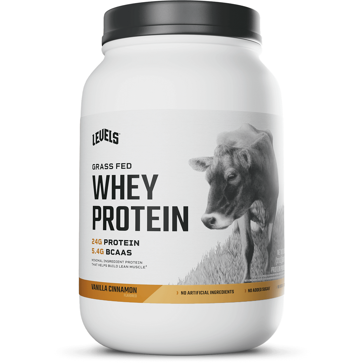 Whey Protein