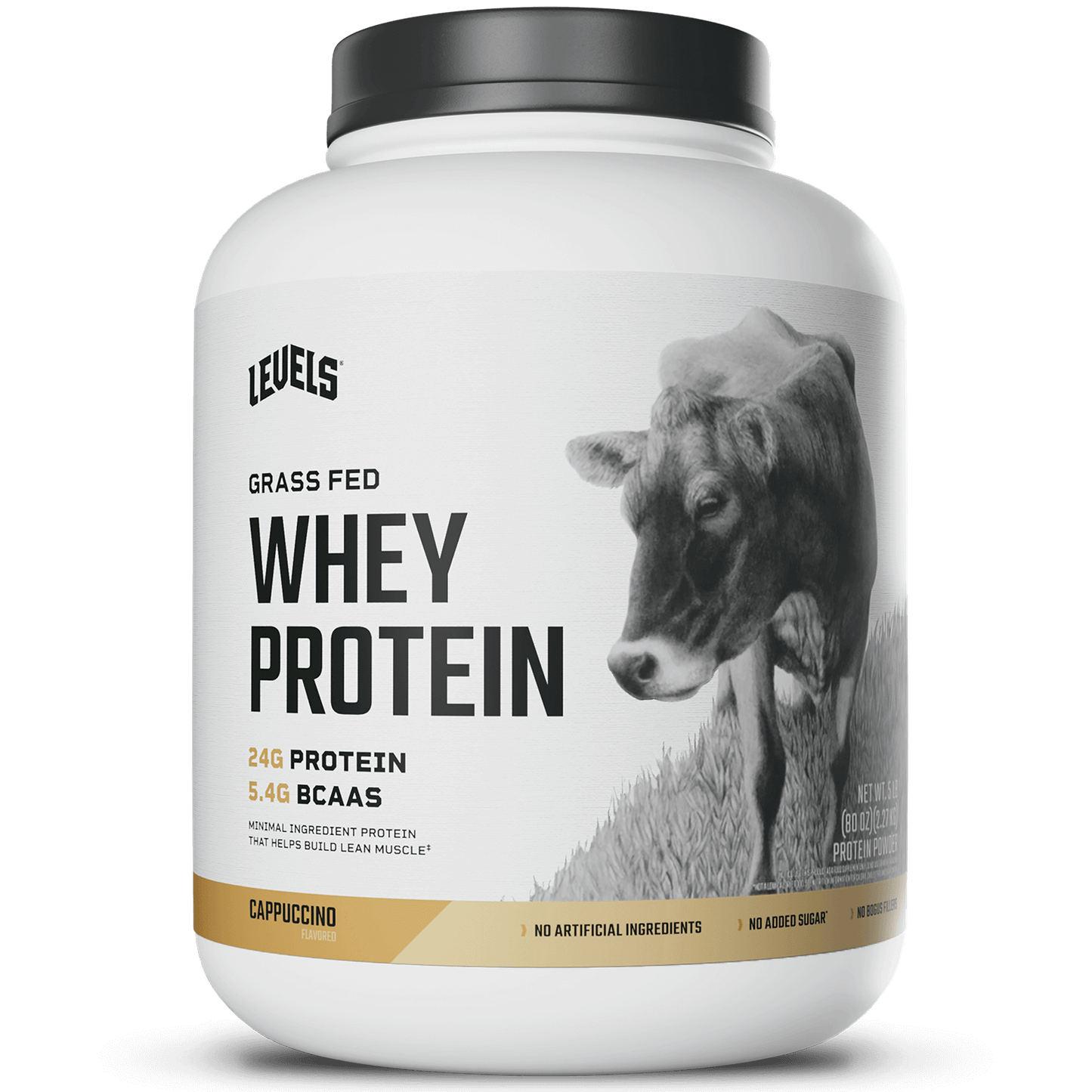 Whey Protein