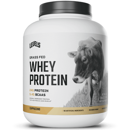 Whey Protein