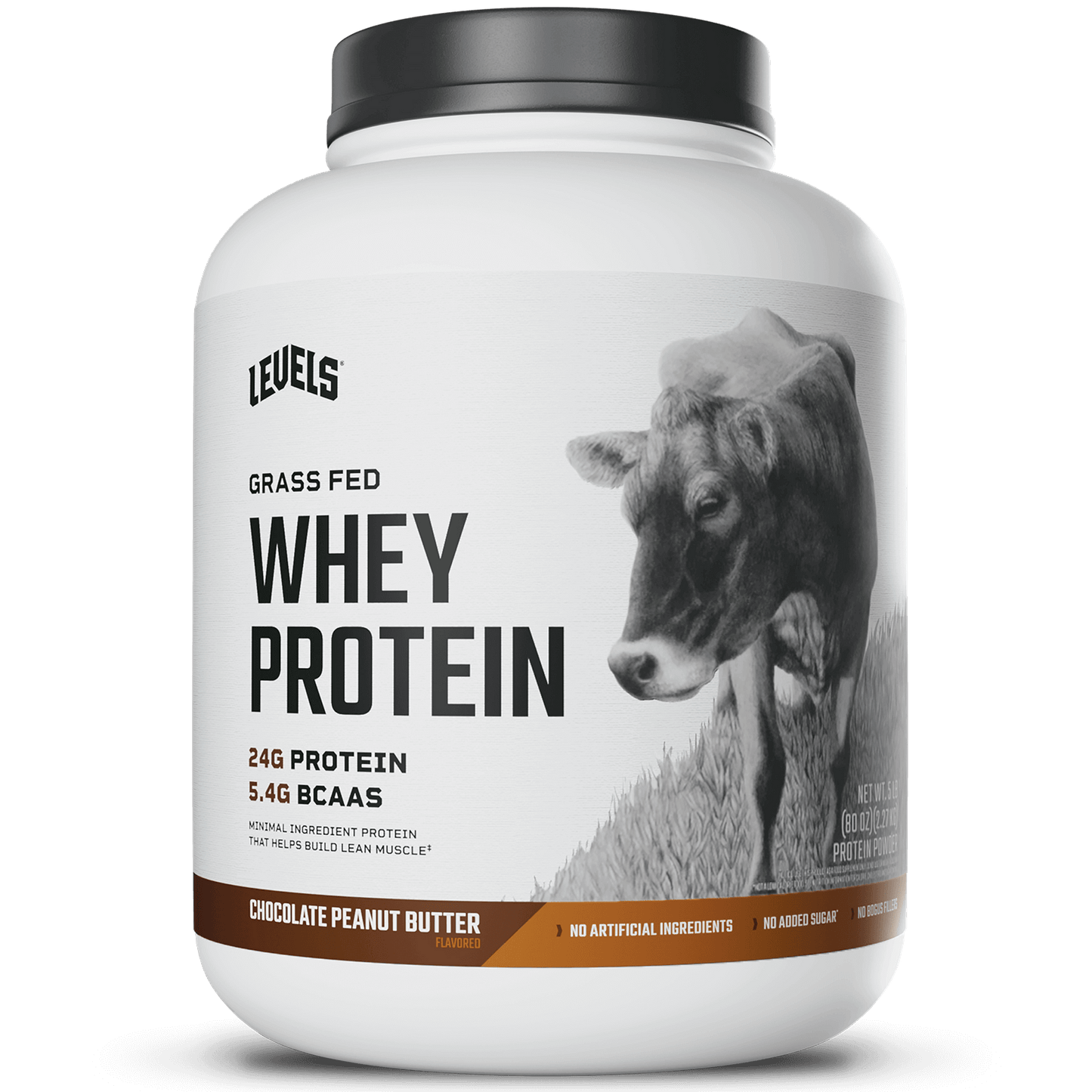 Whey Protein