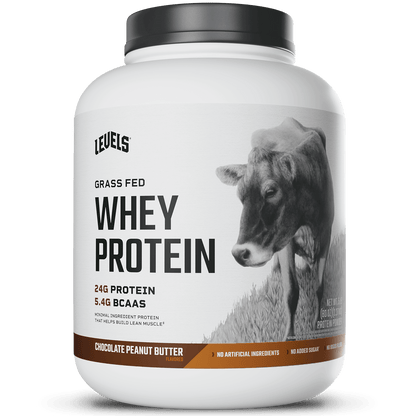 Whey Protein