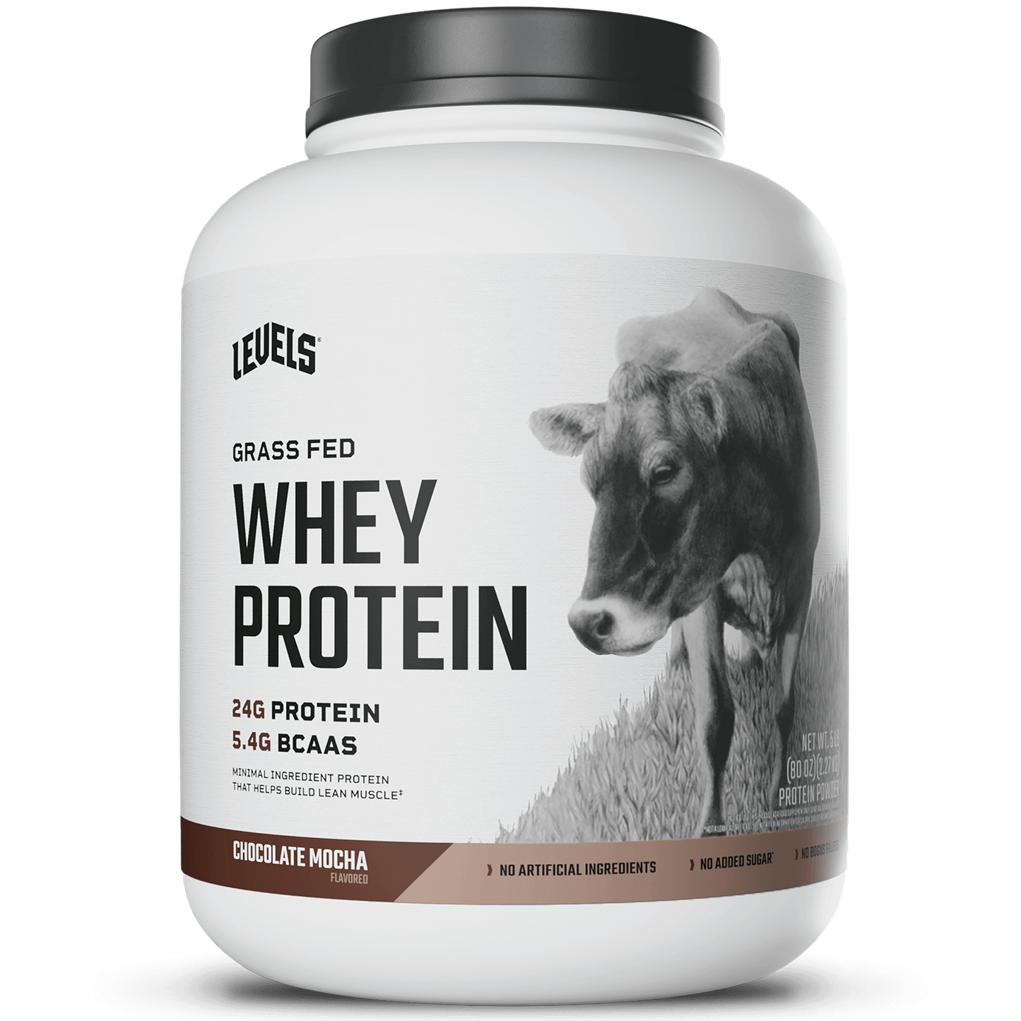Whey Protein