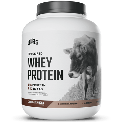 Whey Protein