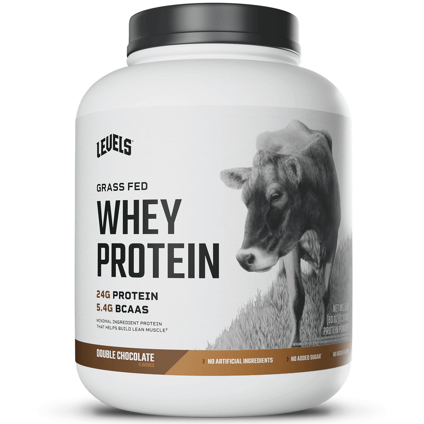 Whey Protein
