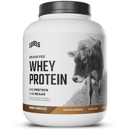 Whey Protein