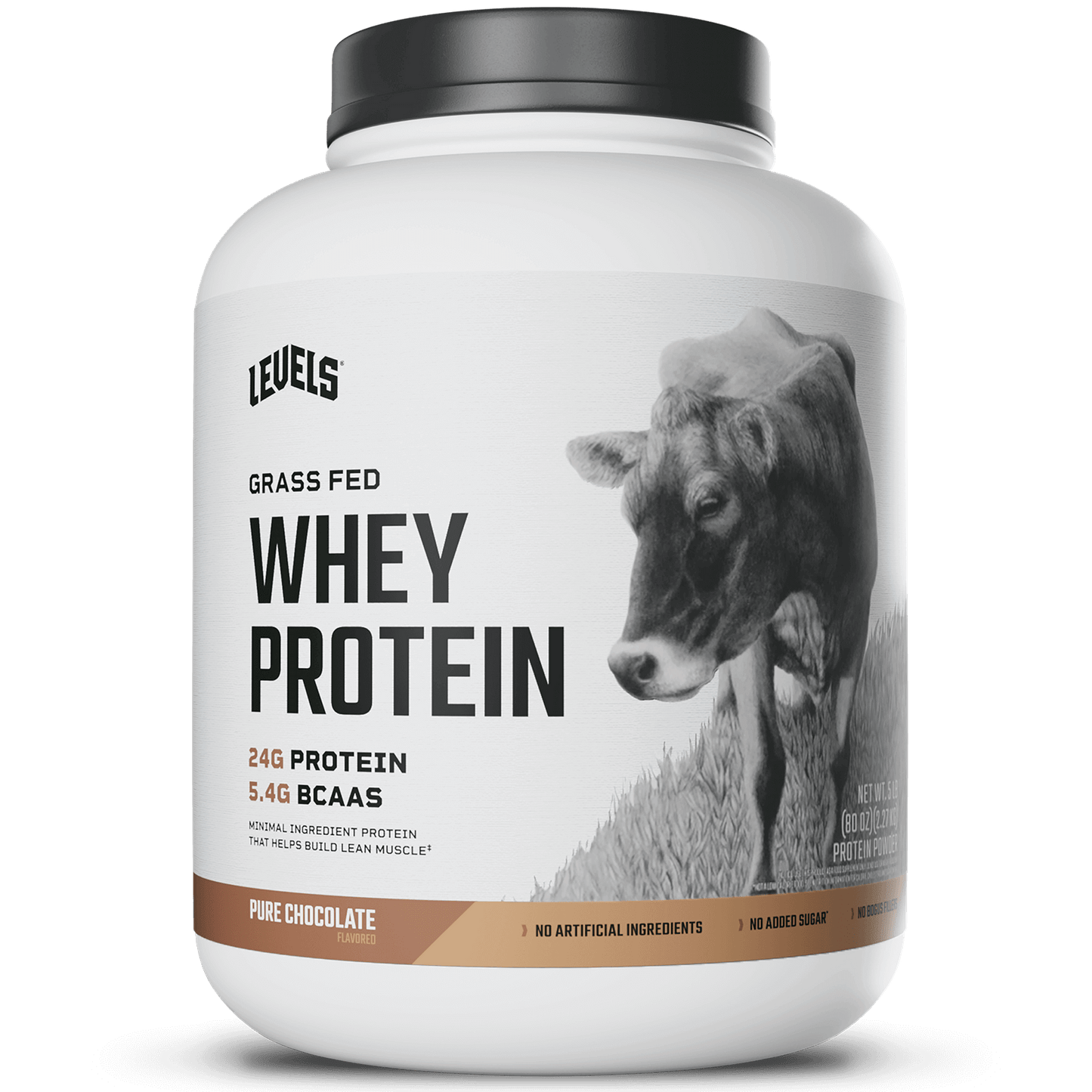 Whey Protein