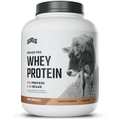 Whey Protein