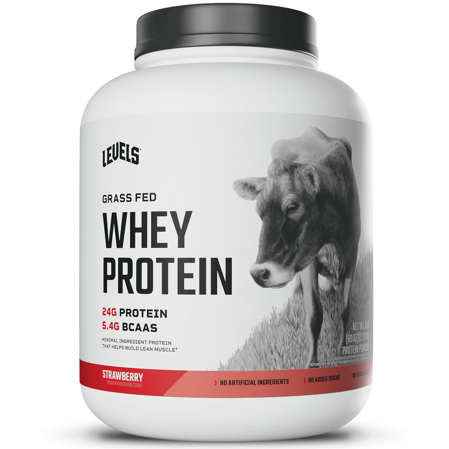 Whey Protein