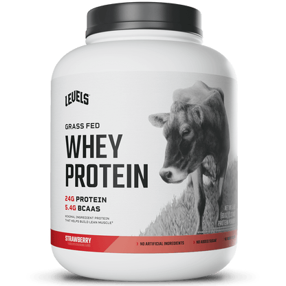 Whey Protein