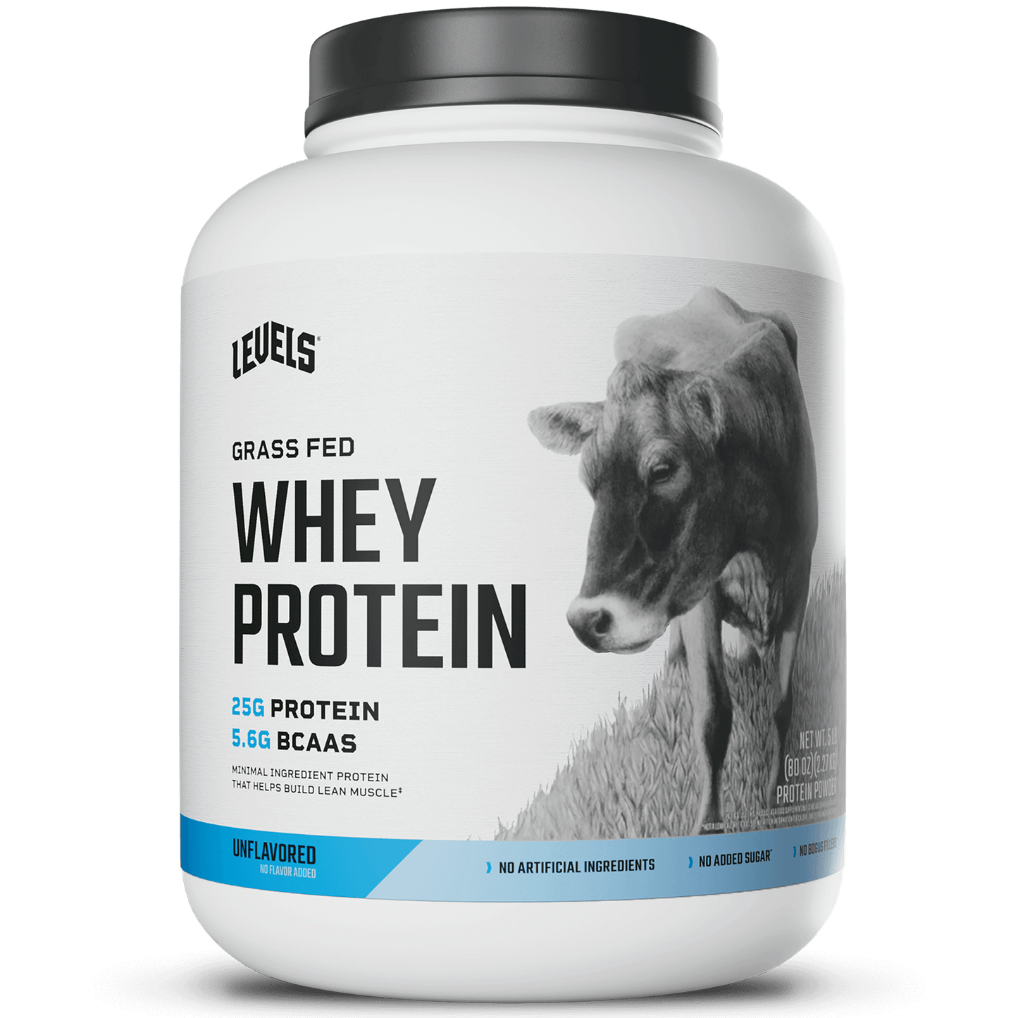Whey Protein