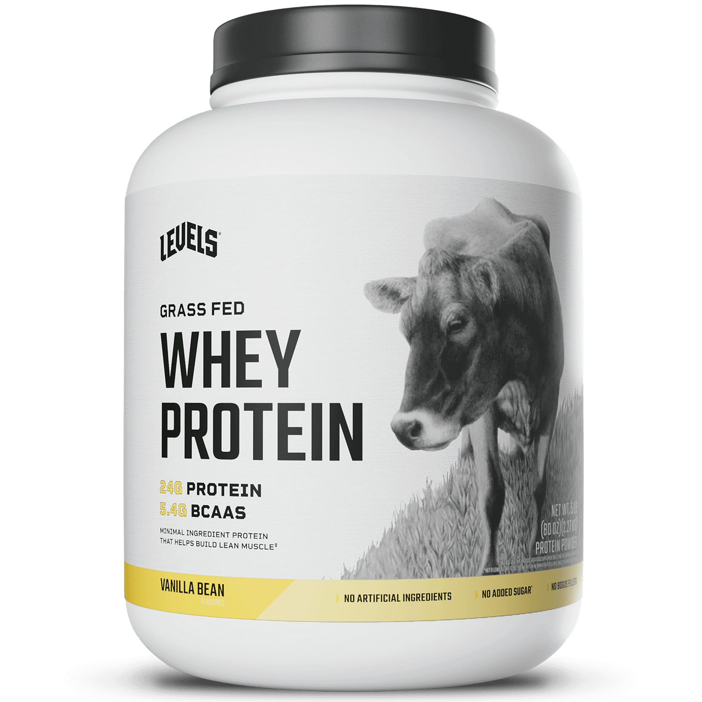 Whey Protein