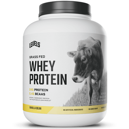 Whey Protein
