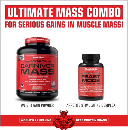 Carnivor Mass Gainer – 50G Beef Protein Isolate & 125G Reactive Carbs – 0 Sugar/Fat/Lactose – Ispike™ Anabolic Gainer, Chocolate Fudge, 6 Lb