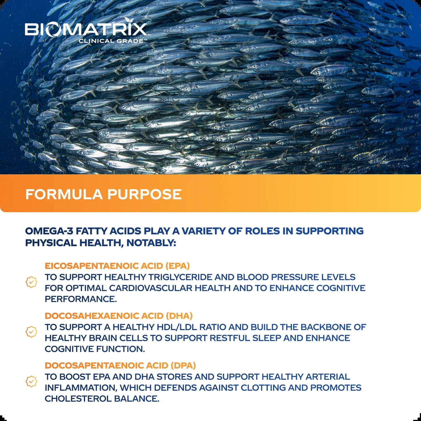 Support Omega - Omega 3 Fish Oil - Cardiovascular, Musculoskeletal Support, 120 Caps