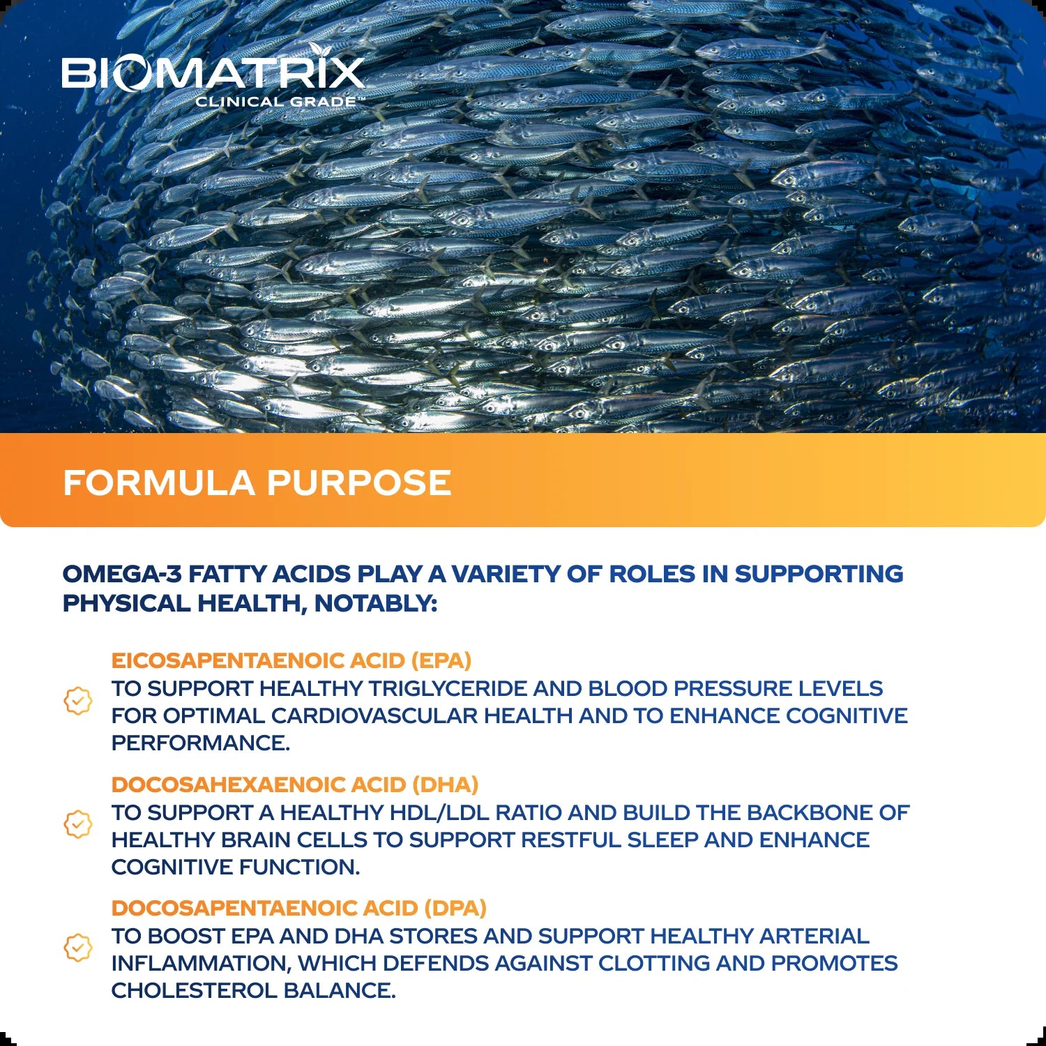 Support Omega - Omega 3 Fish Oil - Cardiovascular, Musculoskeletal Support, 120 Caps