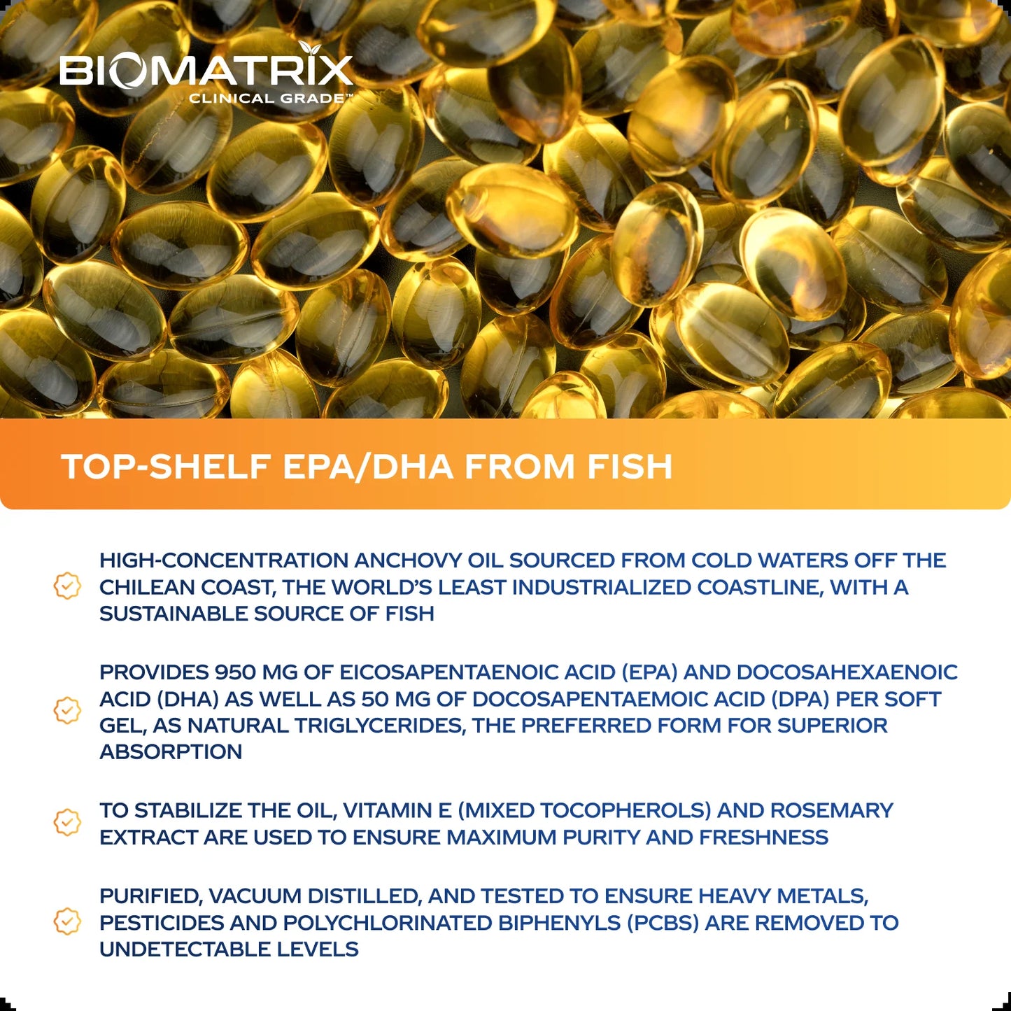 Support Omega - Omega 3 Fish Oil - Cardiovascular, Musculoskeletal Support, 120 Caps